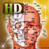 Acupoints Ultimate 穴位 for iPad